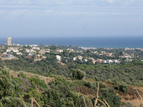 img_R4199989_7ihvsvg48cm0