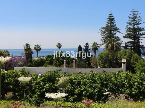 img_R4900090_4ljmj75oant0