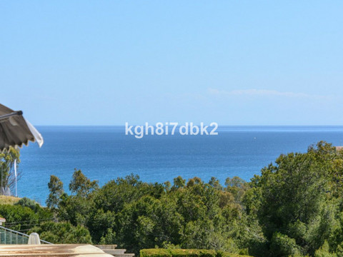 img_R5055928_7rn1titcl0s0