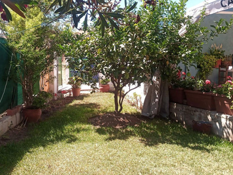 img_R4096219_1i19uq66sosg