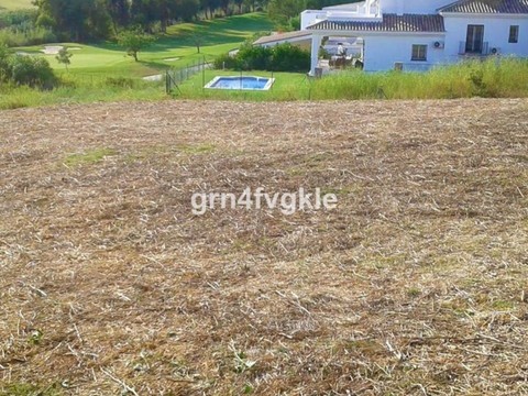img_R3839155_20pemma2h1pg