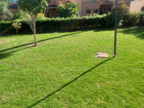 img_R5012875_7k55psl9d6u0