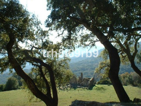 img_R196845_22jrrd78qu9g