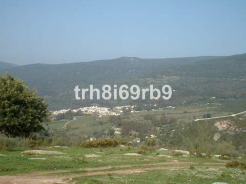 img_R197373_24c7hh0g5fl0