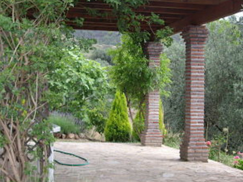 img_R2030757_6didh7uak4u0
