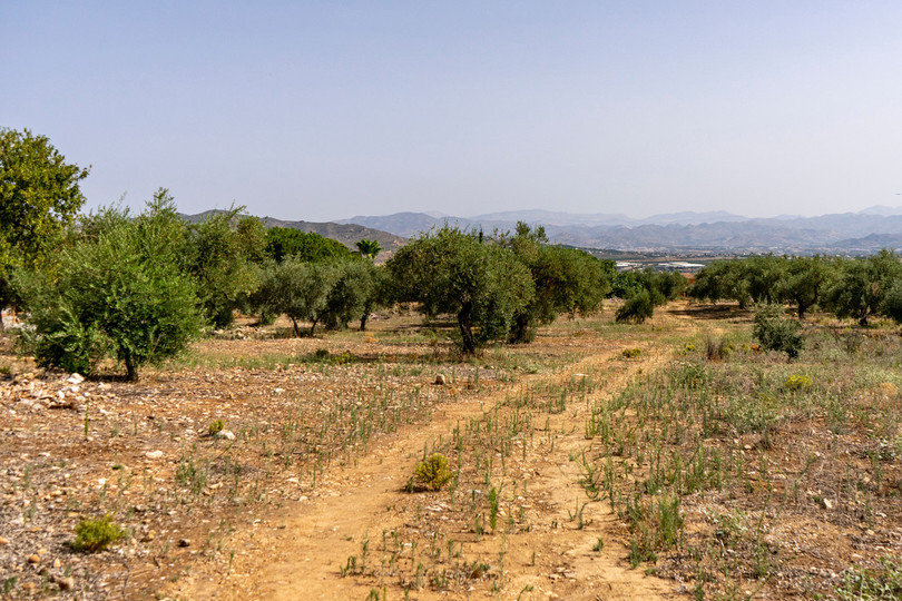 Alhaurín de la Torre, Costa del Sol, Málaga, Espanja - Juoni - Asuin