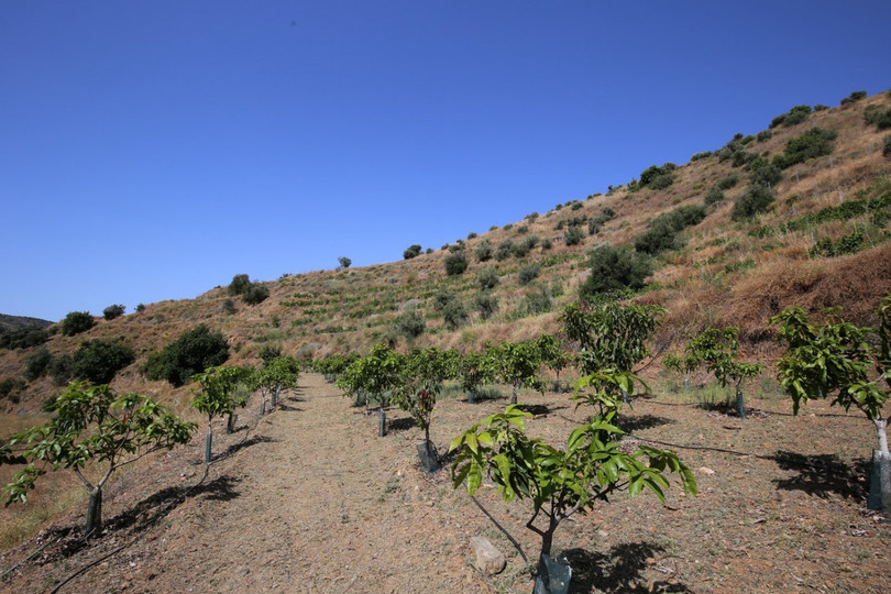 Totalán, Costa del Sol East, Málaga, Espanja - Juoni - Maa