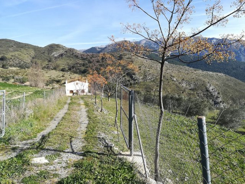 Alcaucín, Costa del Sol East, Málaga, Espanja - Huvila - Maatila