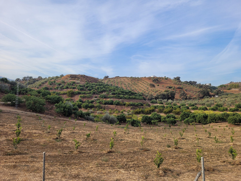 Guaro, Costa del Sol, Málaga, Espanja - Juoni - Maa