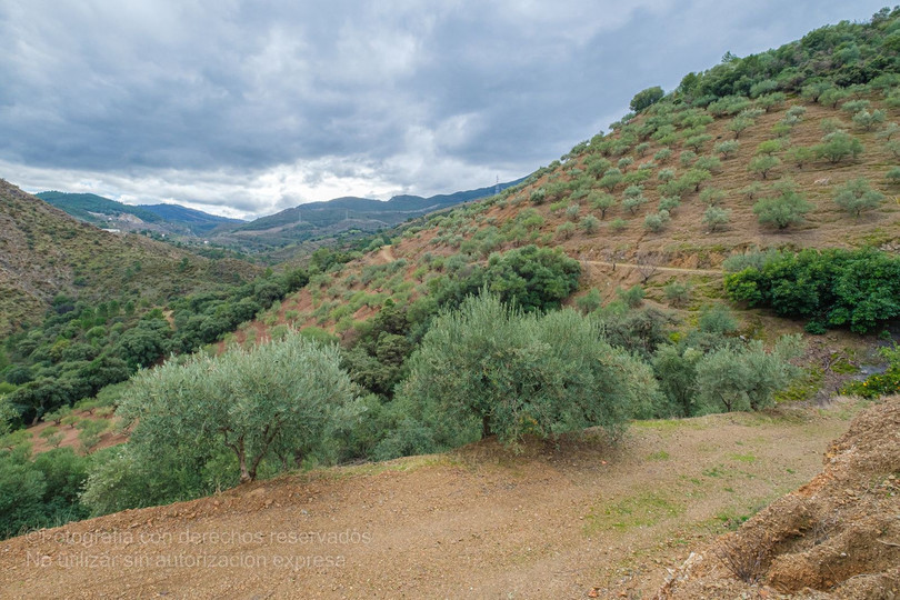 Monda, Costa del Sol, Málaga, Espanja - Juoni - Maa