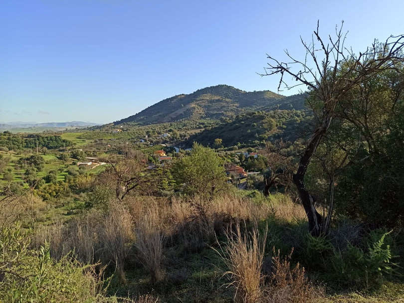 Coín, Costa del Sol, Málaga, Espanja - Juoni - Maa