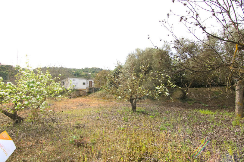 Coín, Costa del Sol, Málaga, Espanja - Juoni - Asuin