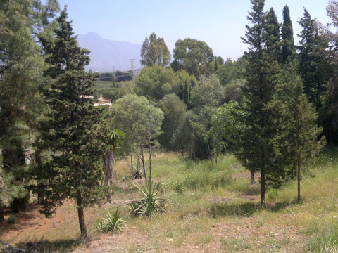 img_R4395100_5plo8amonik0