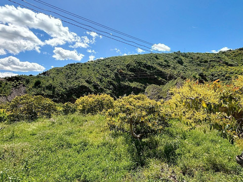 img_R5026894_713dji34jkv0
