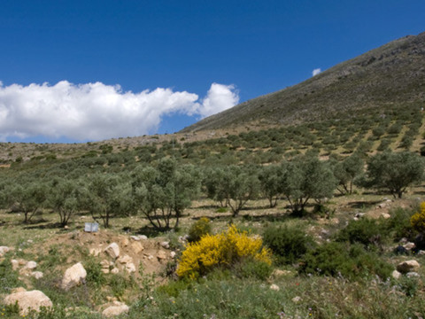 img_R503858_7ksajema1dh0