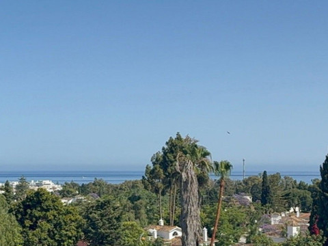 img_R5055361_6q4nggmjibh0