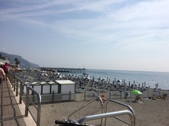 IMG_8205